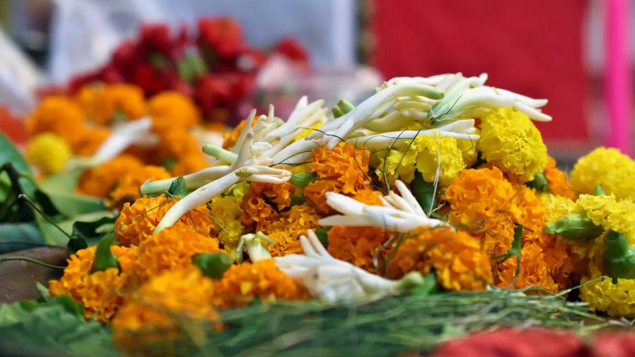 गेंदा अधिकांश हिंदू अनुष्ठानों और त्योहारों के लिए पसंदीदा फूल क्यों है?
