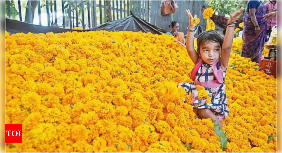 बिना पटाखा दिवाली के साथ महाराष्ट्र के गांवों में बदलाव की अलख | भारत समाचार