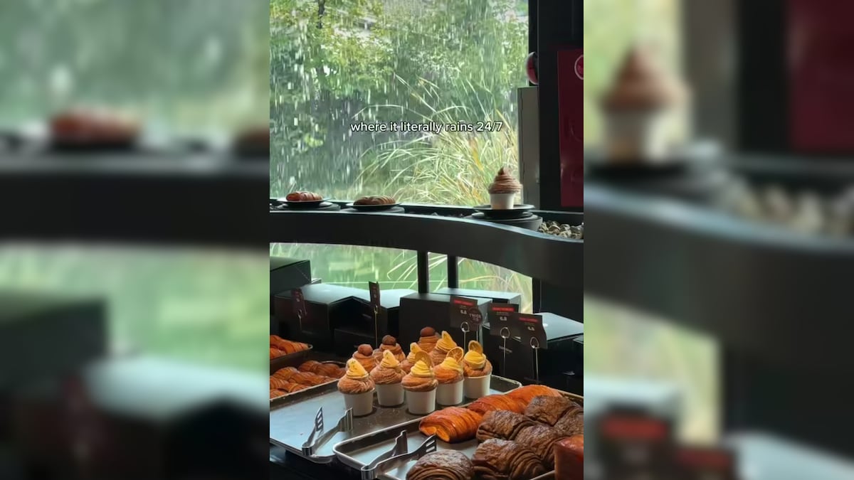 देखें: दक्षिण कोरिया में वर्षा-थीम वाला कैफे वायरल हो गया। इंटरनेट कहता है, "बहुत बढ़िया"