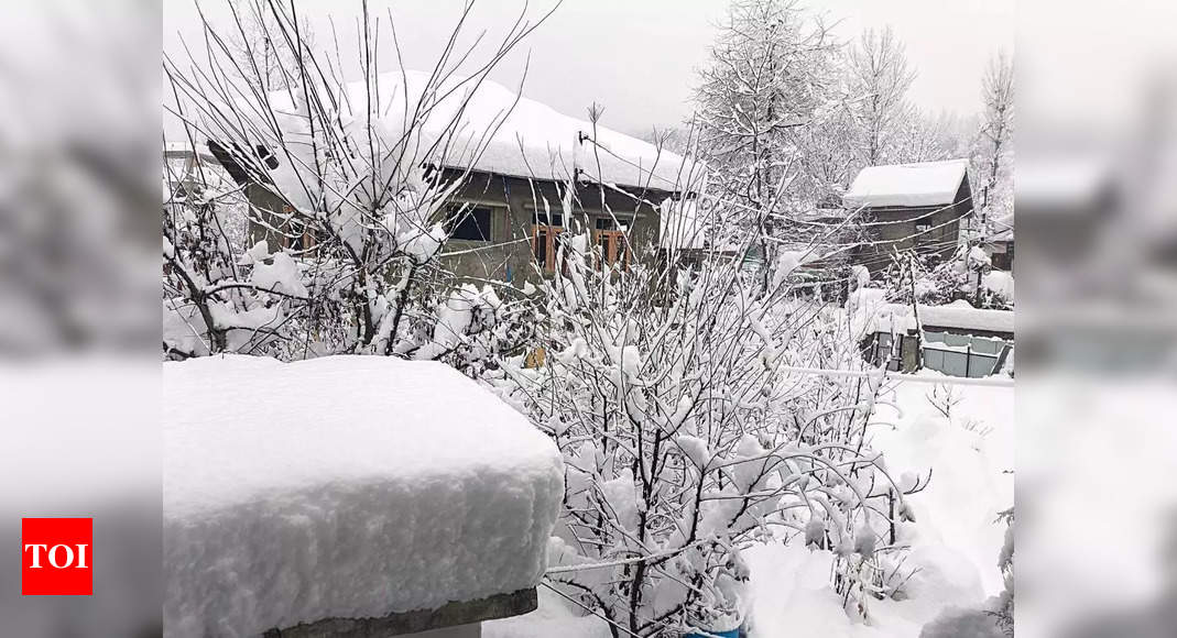 भारी बर्फबारी के कारण कश्मीर विश्वविद्यालय ने परीक्षाएं स्थगित कर दीं