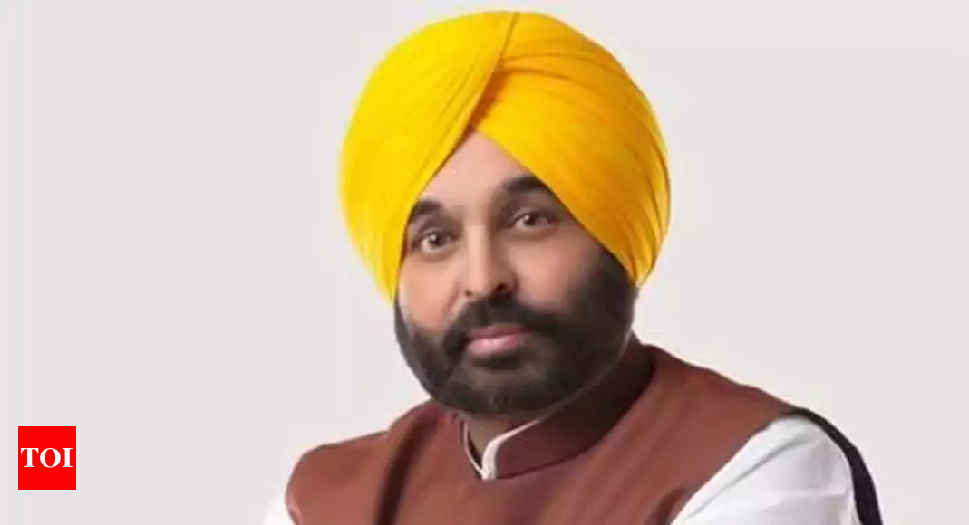 अमृतसर में बीआर अंबेडकर की प्रतिमा को नुकसान पहुंचाने के प्रयास के लिए अनुकरणीय सजा सुनिश्चित करेंगे: सीएम भगवंत मान | चंडीगढ़ समाचार