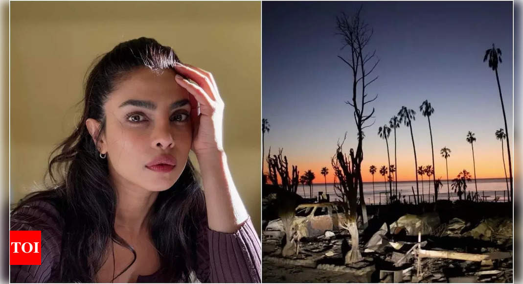 प्रियंका चोपड़ा जोनास ने पूरे लॉस एंजेल्स में पैलिसेड्स में आग के कहर के कारण दुख व्यक्त किया: 'हालांकि मैं अपने परिवार की सुरक्षा के लिए बहुत आभारी हूं, लेकिन मेरा दिल भारी है।'