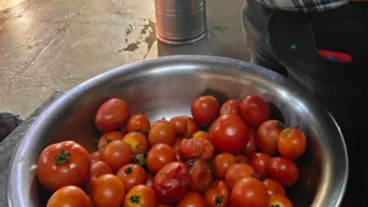 रसायन से लेकर चूहों के मलमूत्र तक, हैदराबाद रेस्तरां के निरीक्षण में सुरक्षा उल्लंघन पाए गए