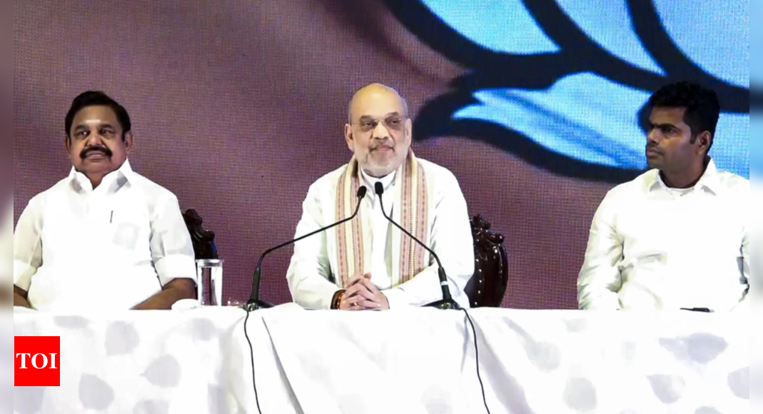 AIADMK, BJP ने तमिलनाडु विधानसभा चुनावों के लिए गठबंधन की घोषणा की | भारत समाचार