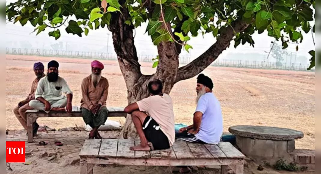 पाकिस्तान द्वारा 3 पक्षों पर घिरे गाँव शांत तनाव के बीच रहते हैं | भारत समाचार