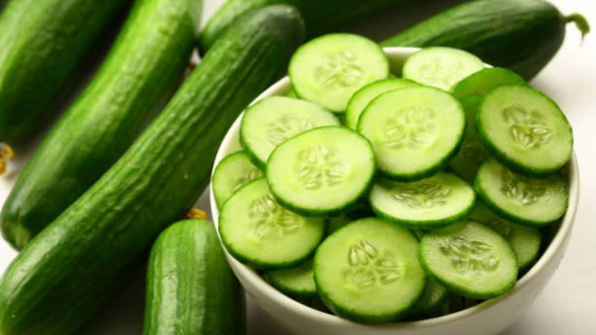 यूएस ने साल्मोनेला के प्रकोप से जुड़े खीरे को याद किया, अब तक 26 मामले