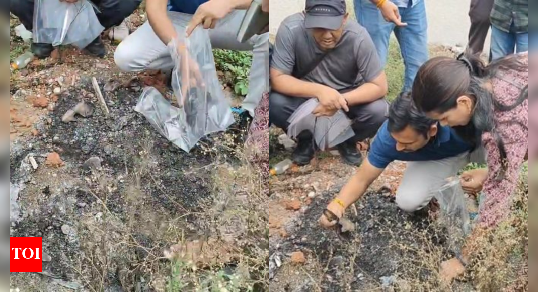 हनीमून मर्डर: राजा रघुवंशी के फोन वाले बैग, ज्वैलरी ने इंदौर में हाथ बदल दिया, खाली साजिश में नष्ट कर दिया; जांच में ऑटो ड्राइवर कुंजी लिंक | इंदौर समाचार